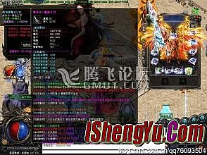 �����汾���湥��