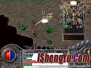 1.76���Ĵ�Ʒ�����