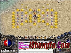 ����ʢ�����ι���