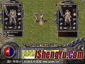 ���������̳�