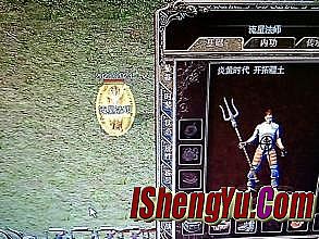 ��������������Ȩ���