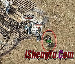 1.76��Ѫ�����ͼ