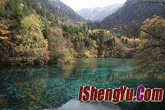 ���洫��1.76��Ұ�