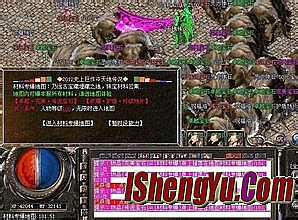 ����5��Ԫ��ְҵ����